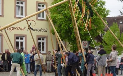 2. Maibaumstellen beim Rebstock!