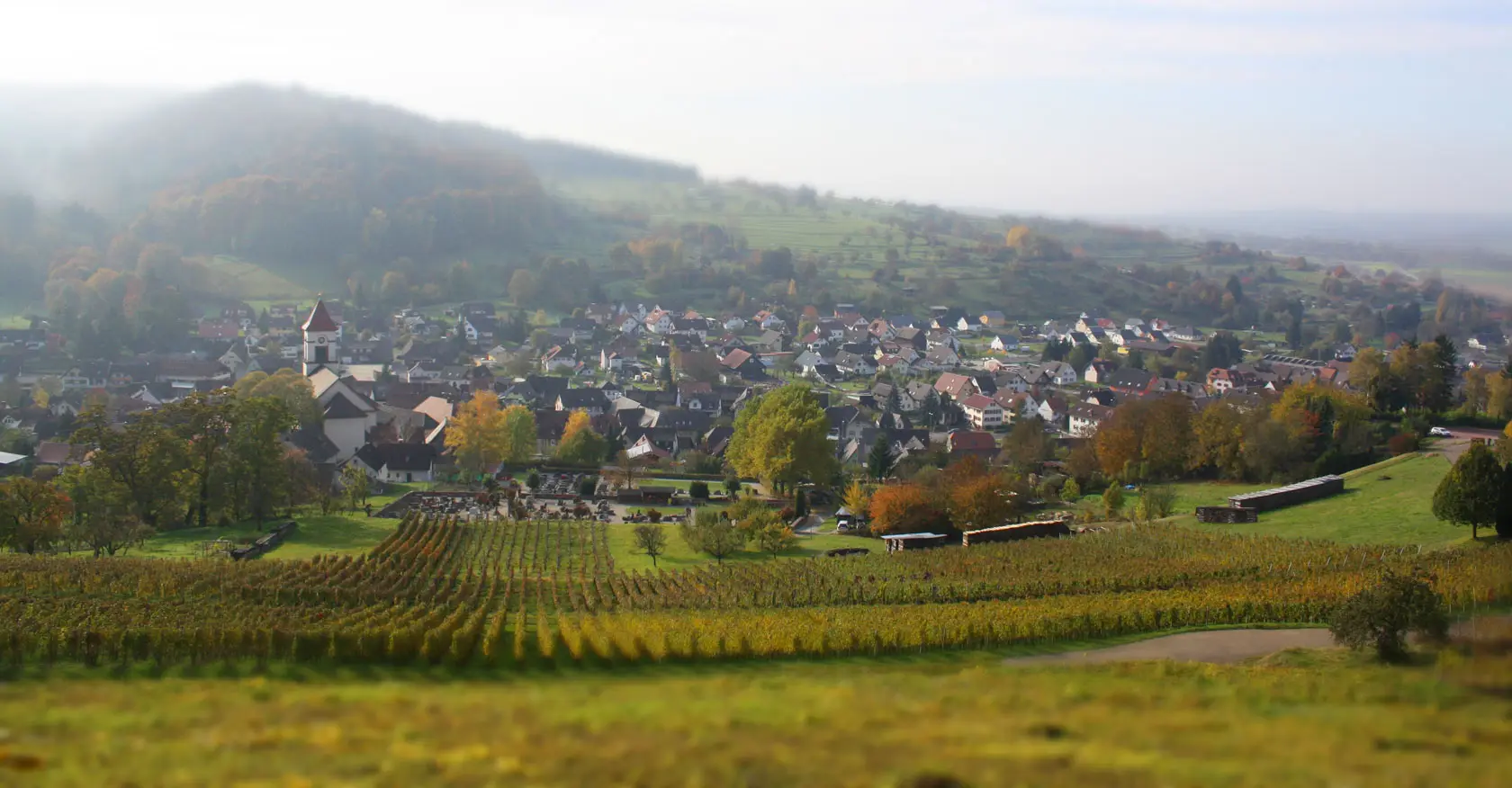 Blick über einen Weinberg auf Münchweier: die Kirche mit rotem Turm, die Dächer des Ortes und bewaldete Hügel im Hintergrund.