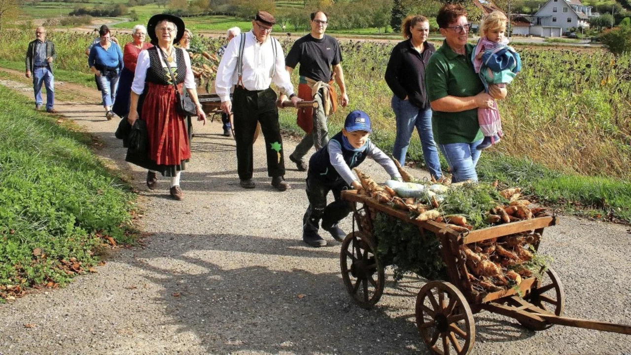Menschen in Tracht ziehen einen Leiterwagen mit gelben Rüben über einen Feldweg