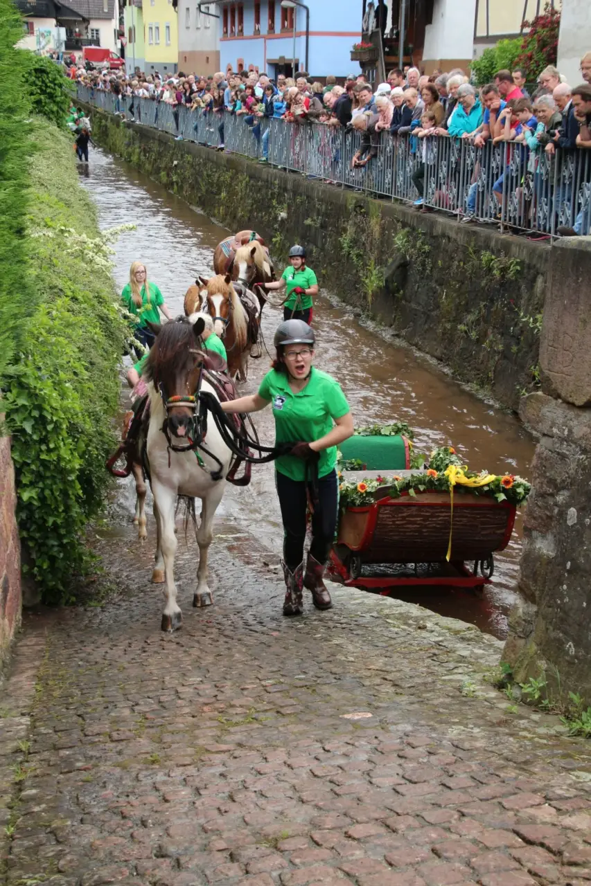 Rossschwemme 2016 – Foto 17