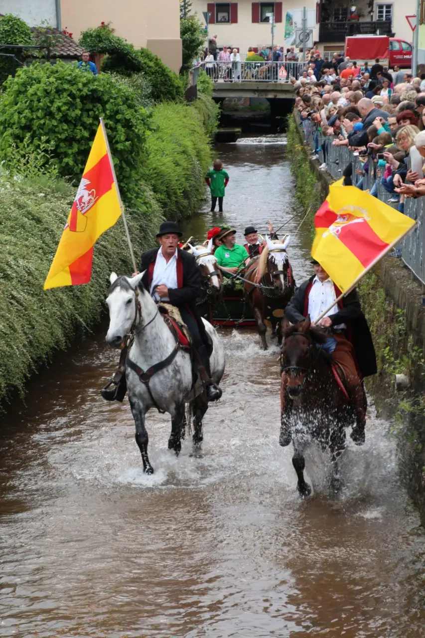 Rossschwemme 2016 – Foto 35