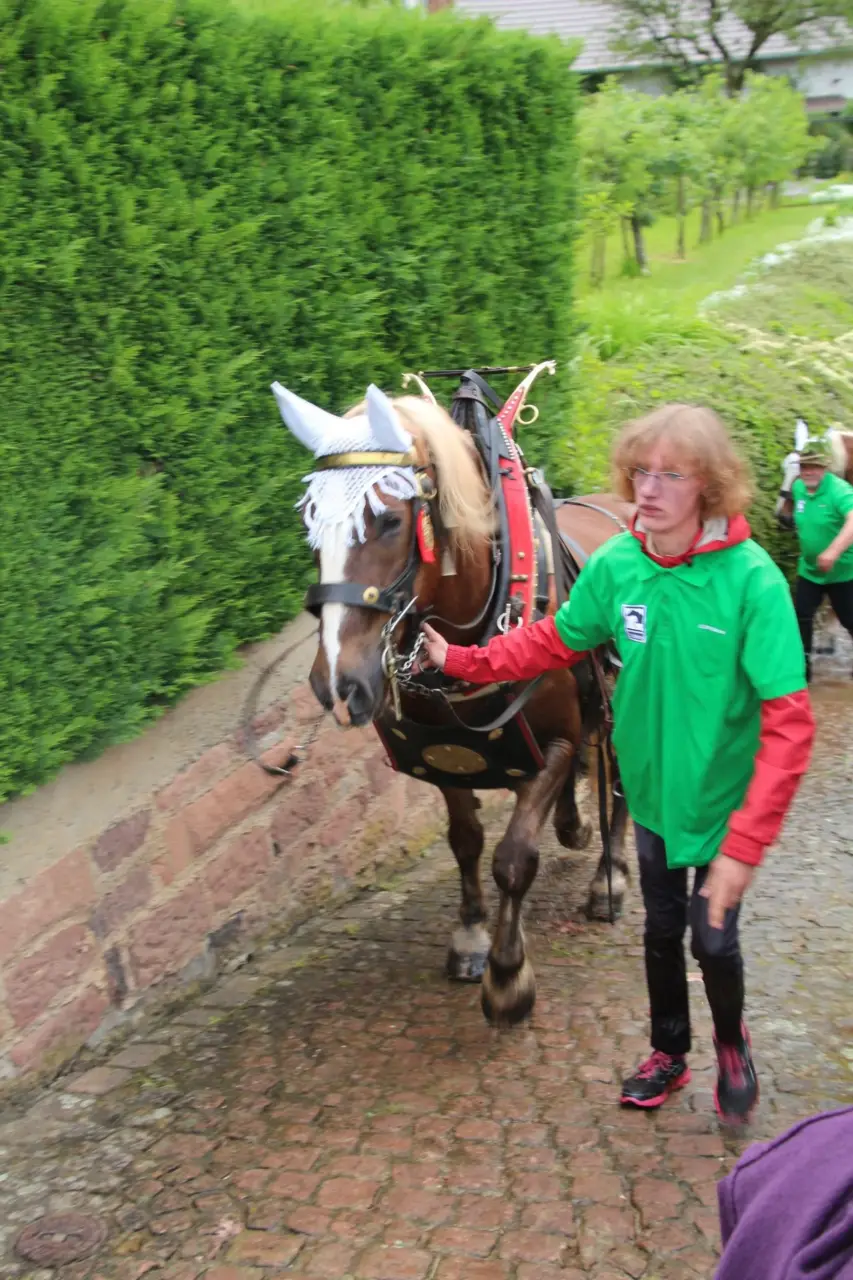 Rossschwemme 2016 – Foto 46