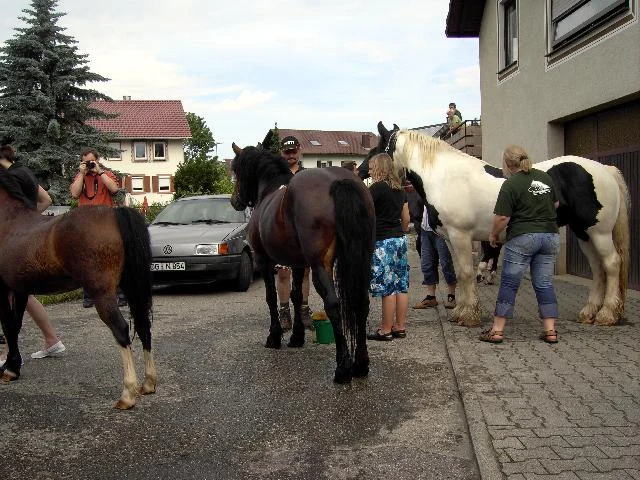 Pferde und Menschen auf einer Dorfstraße bei der Pferdewäsche