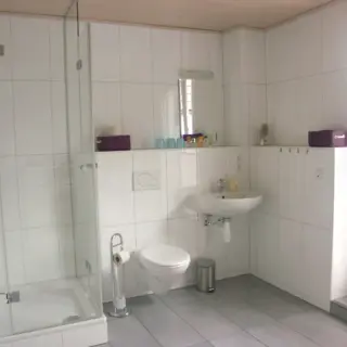 Badezimmer mit Dusche, Waschbecken und WC